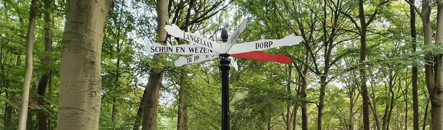 Musical De Familie Madrigal